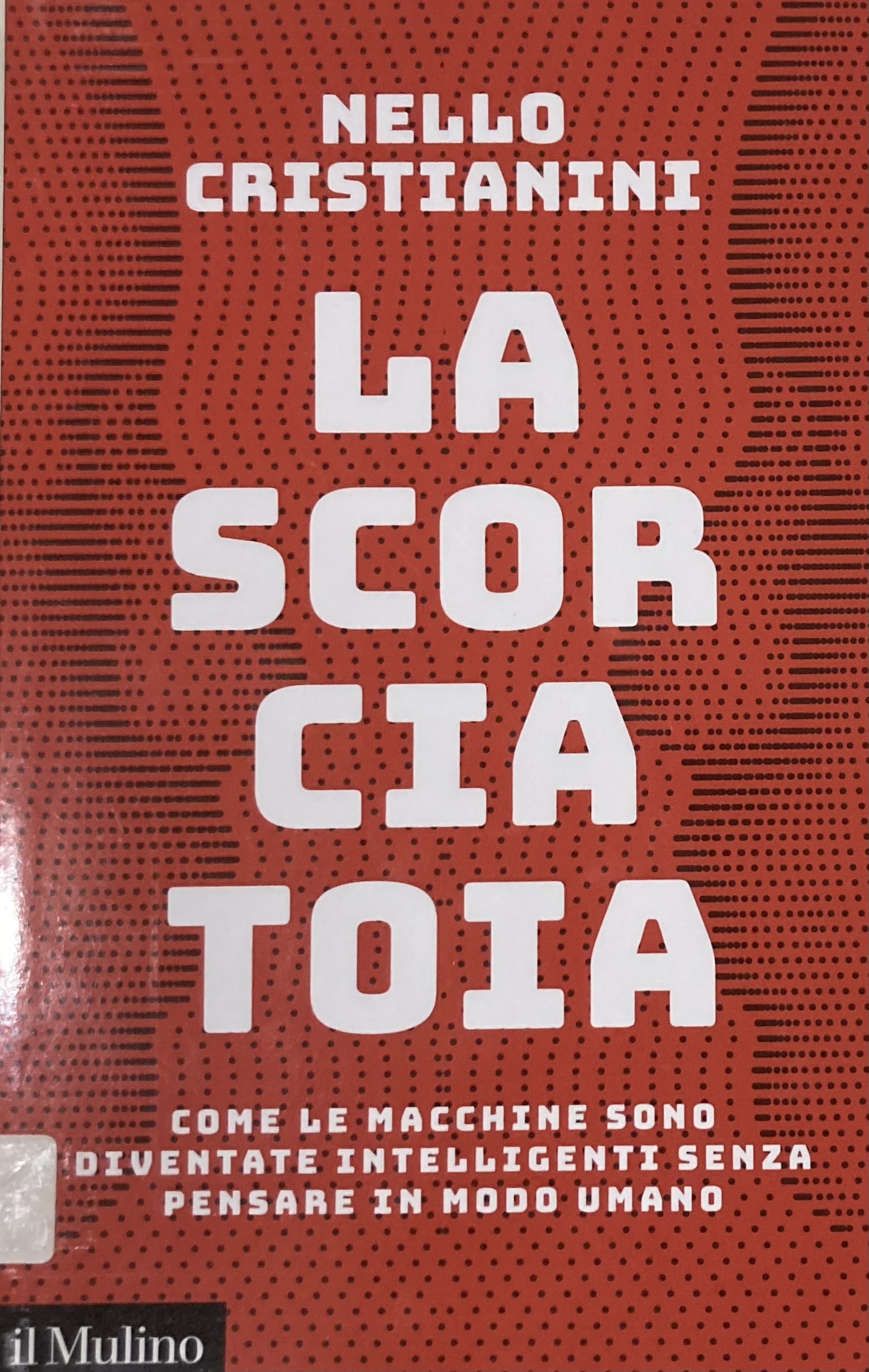 Nessuna immagine disponibile